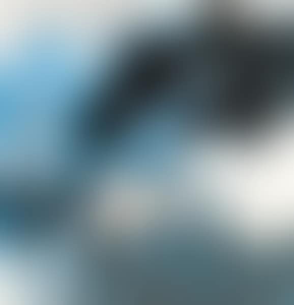 Lotus (preview)