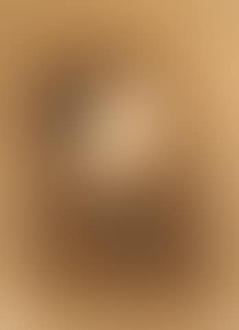 Portrait of a young woman in repose (preview)