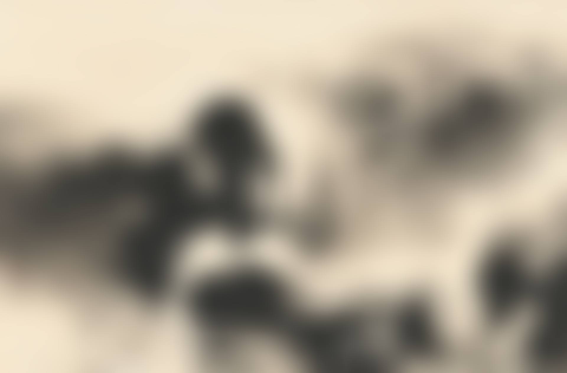 Cloud and the Mist (preview)