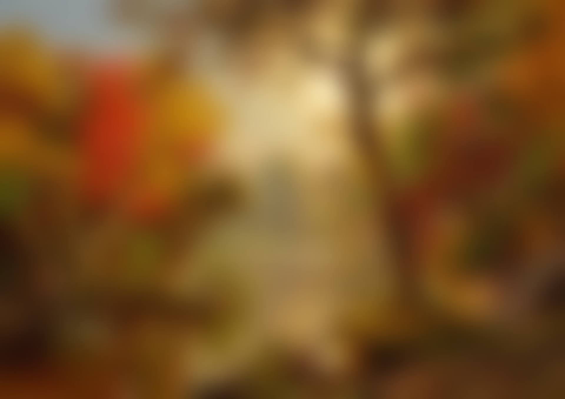 AUTUMN LANDSCAPE (preview)
