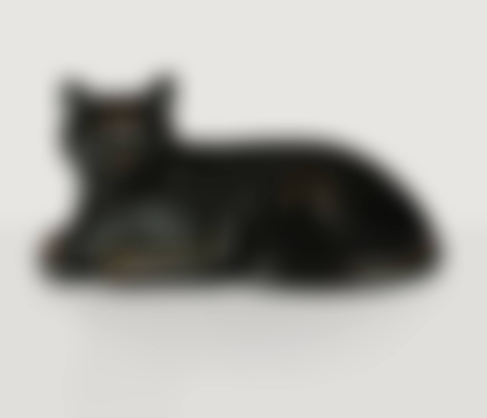 CHAT NOIR (preview)
