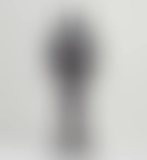 ACCOMPLICE (preview)