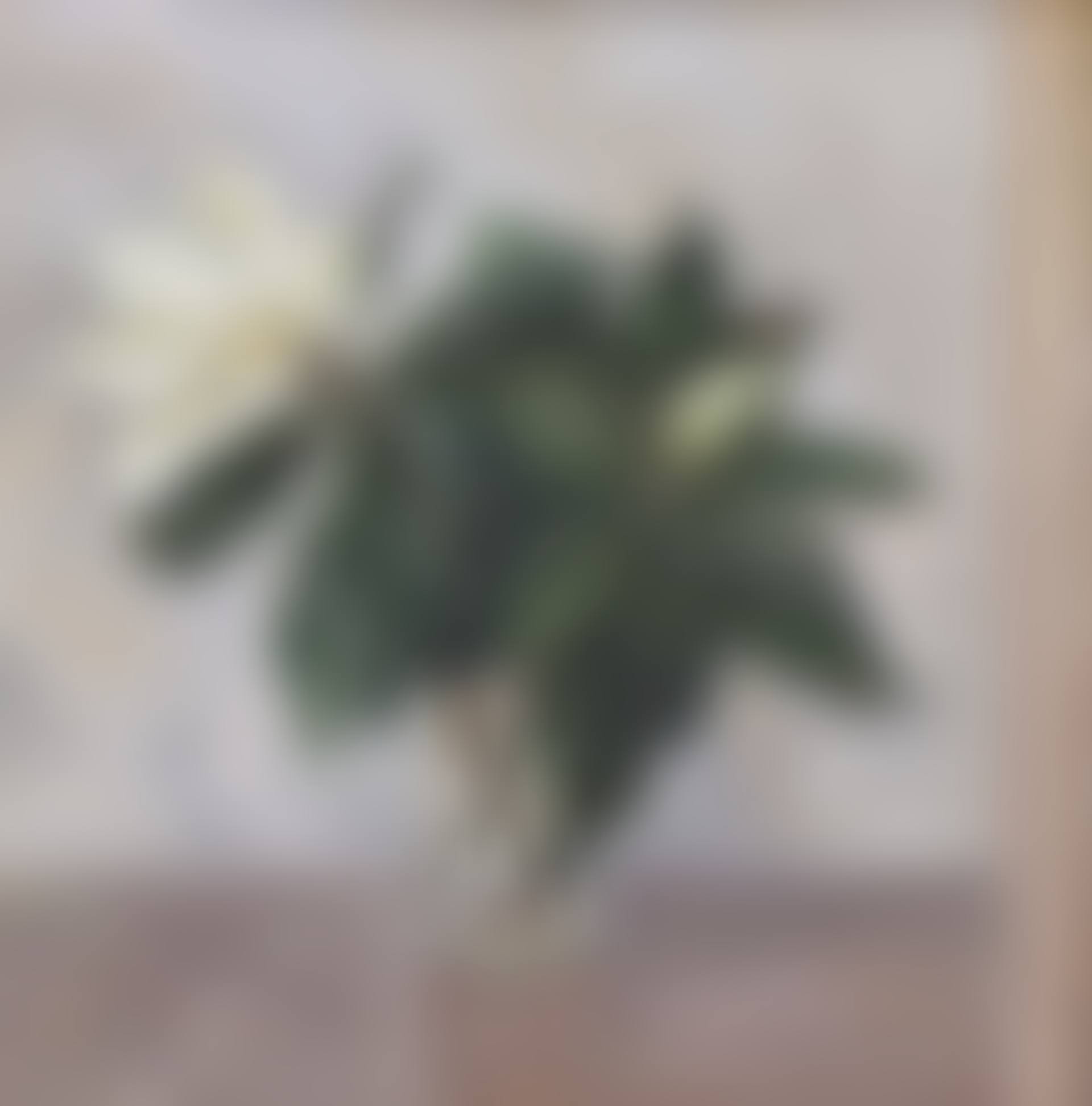 Untitled (preview)