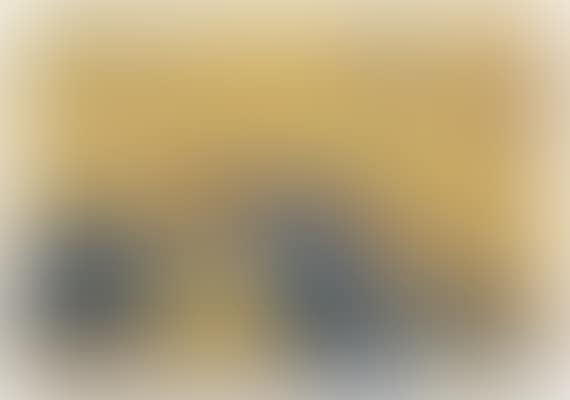 Riesenschildkröte (preview)