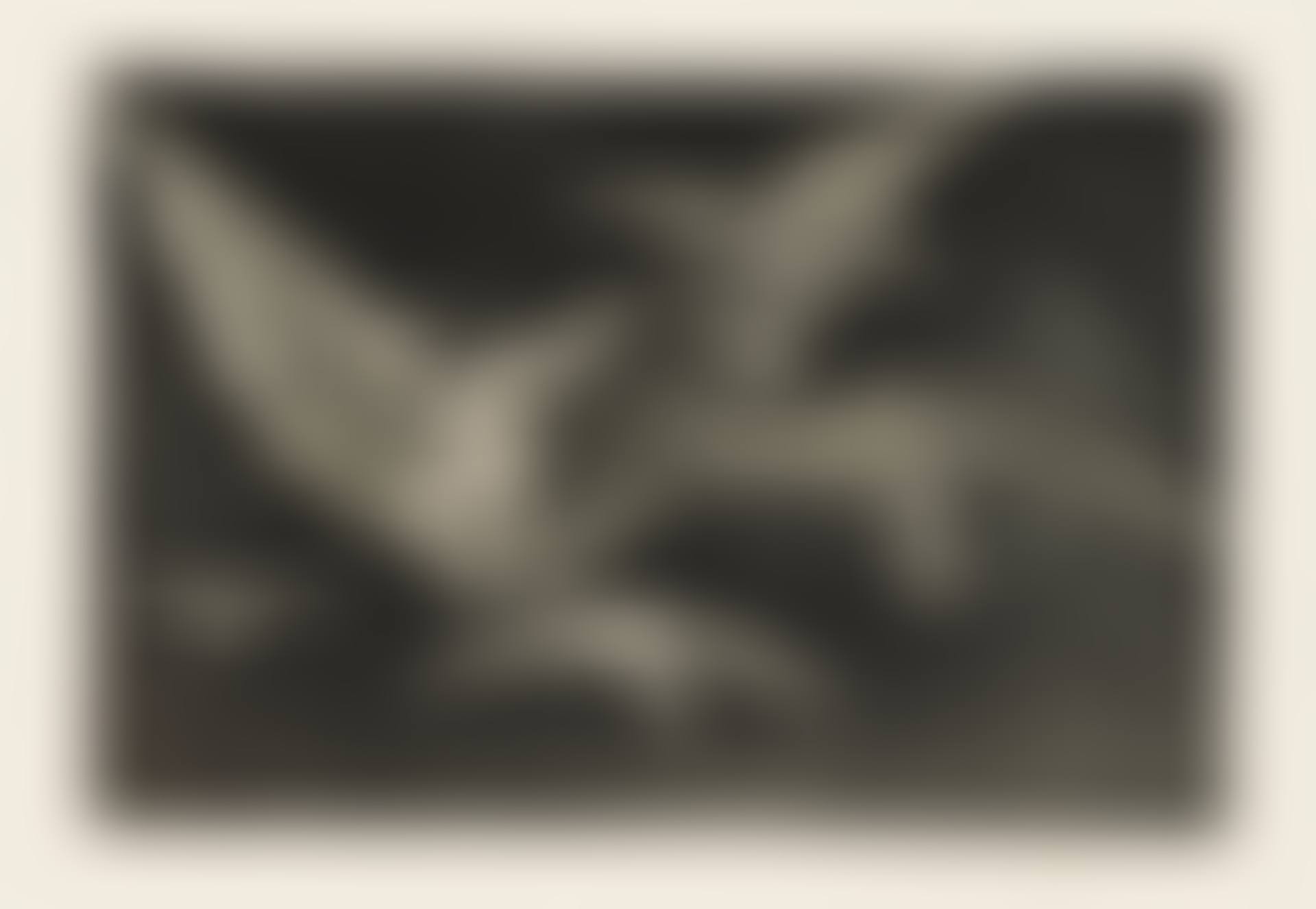 Modo de Volar, from: Los Proverbios (preview)