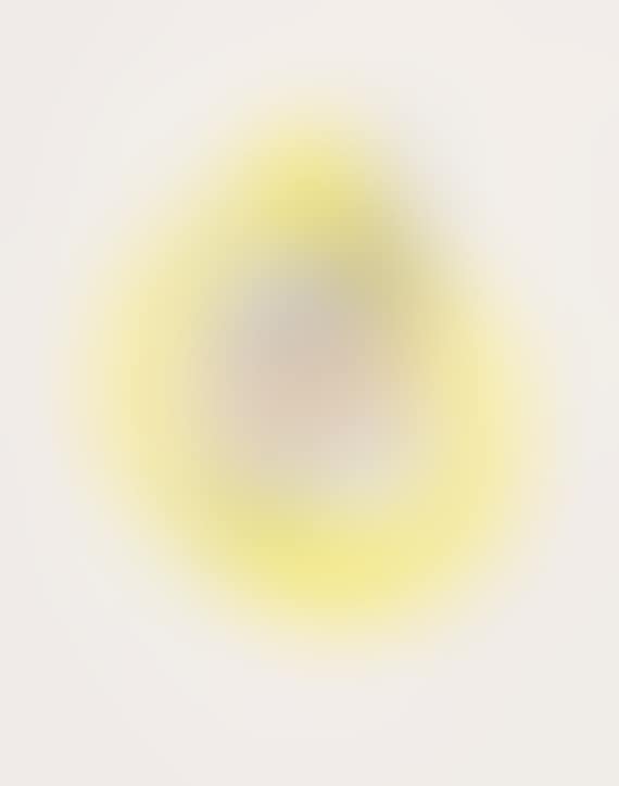 Widder im Vollmond (preview)