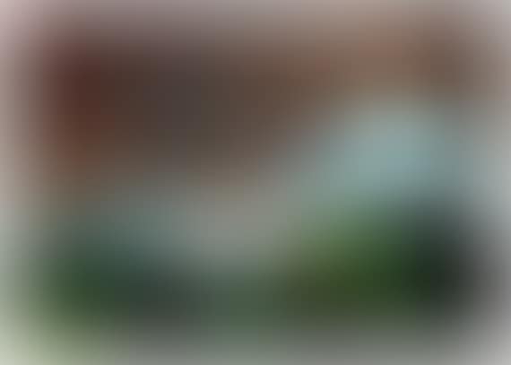 Landschaft mit Häusern (preview)
