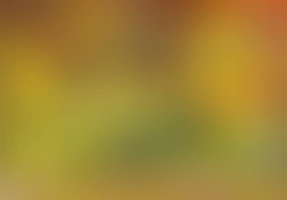 18.4.88 (preview)