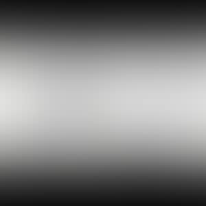 Fragment from I Quattro Formaggi Ⅱ (preview)
