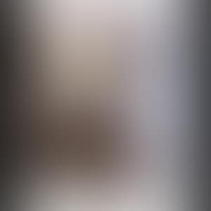 UNTITLED (ORIGINAL FAKE SERIES) (preview)