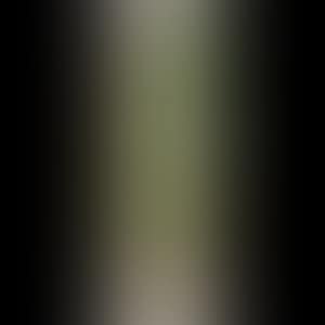 DOG TOY 3 (preview)