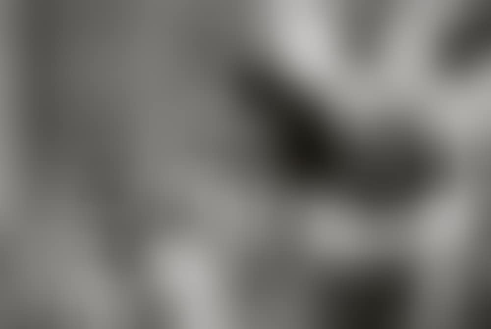 ARLES (preview)