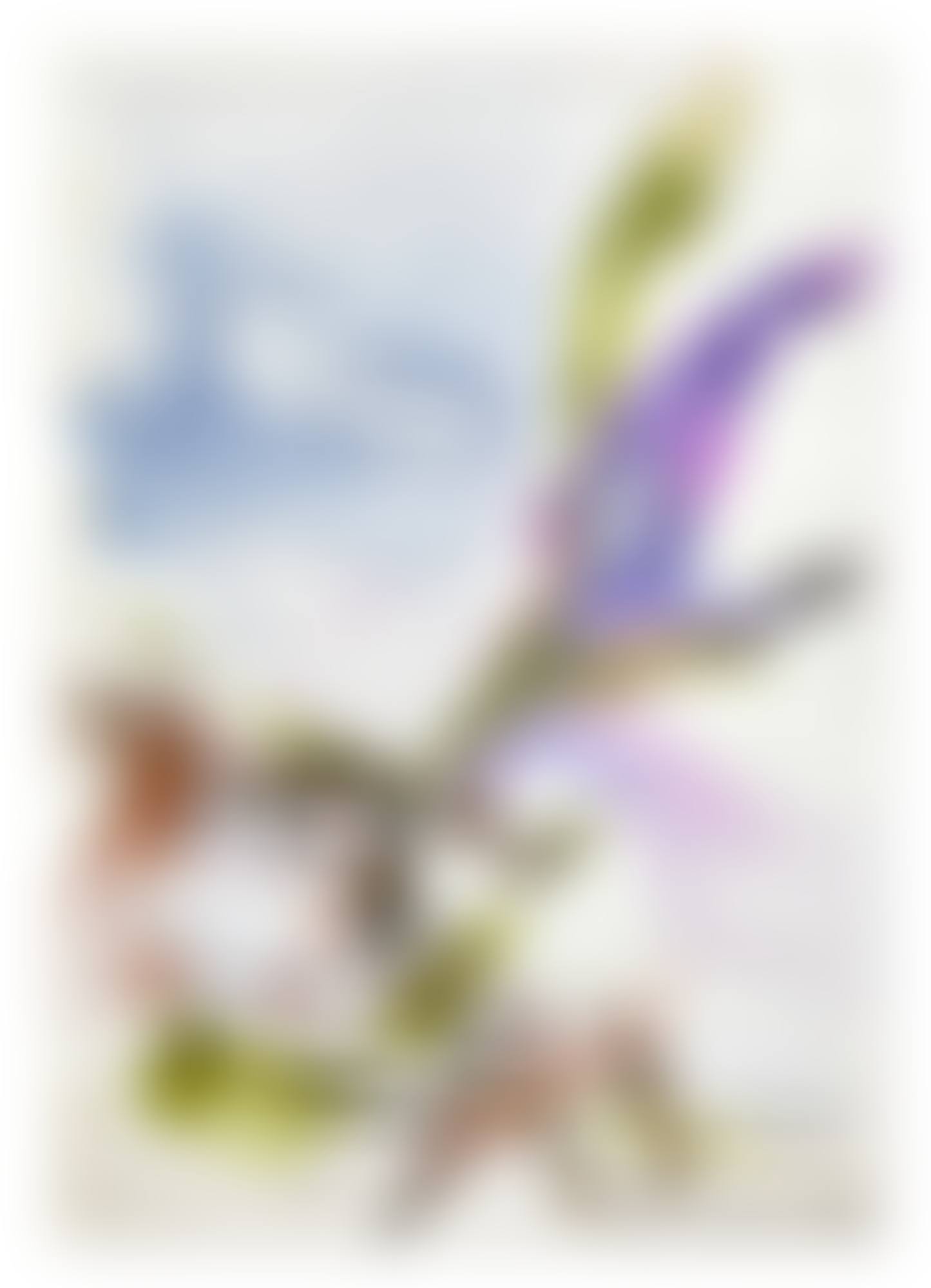 UNTITLED (preview)
