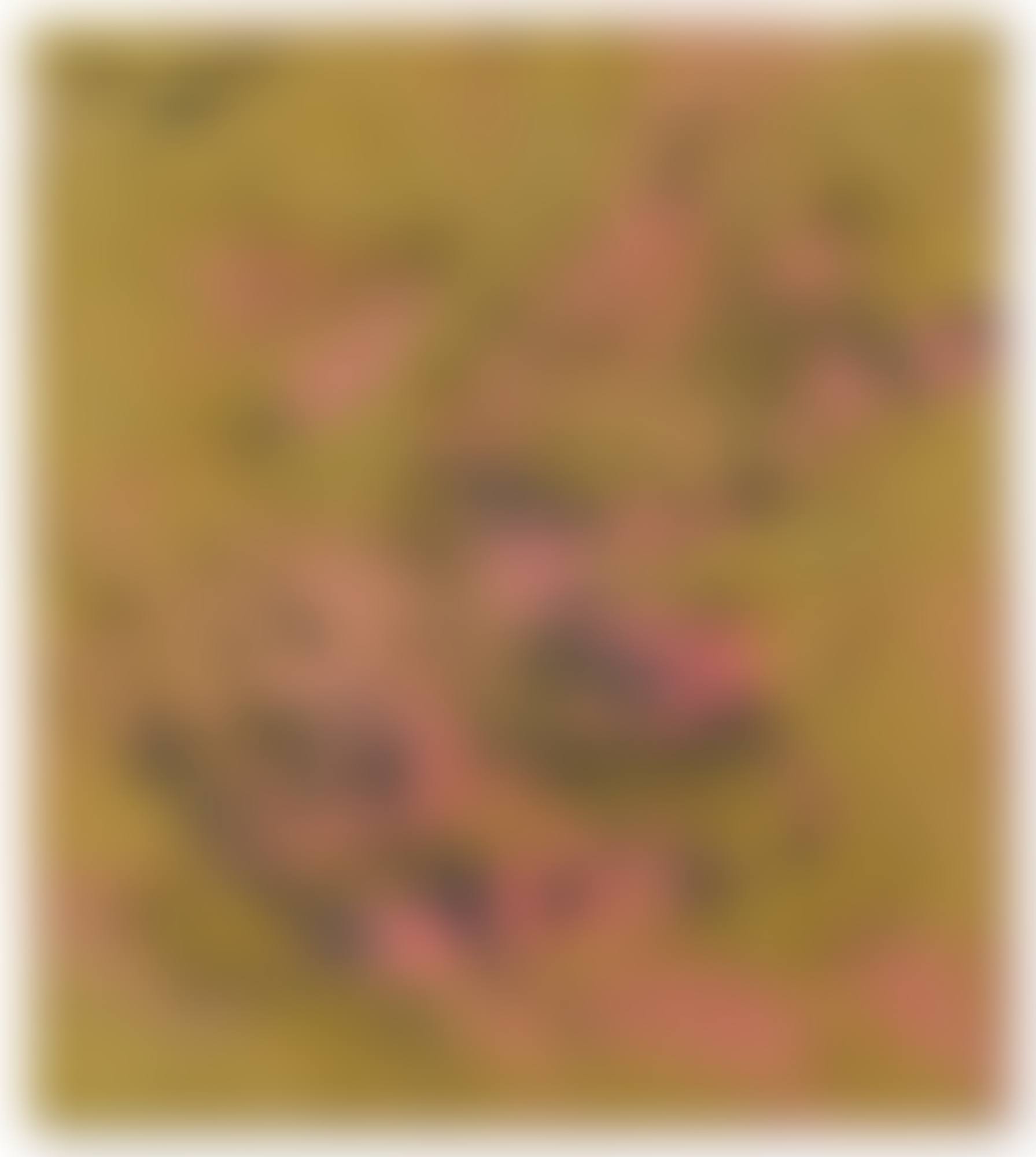 THE FOOTPRINTS OF YOUTH (preview)