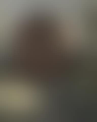 Campo San Vidal (preview)
