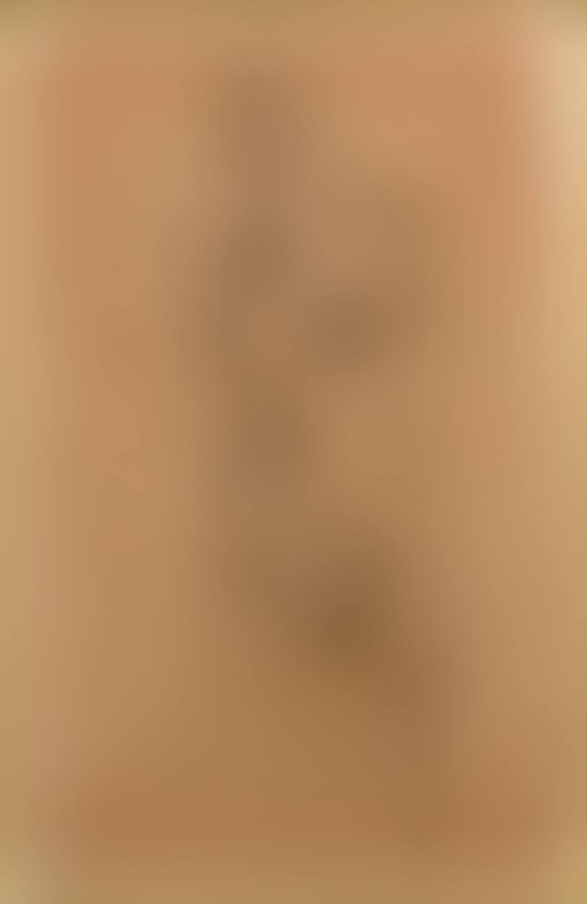 Nude standing from the front (preview)