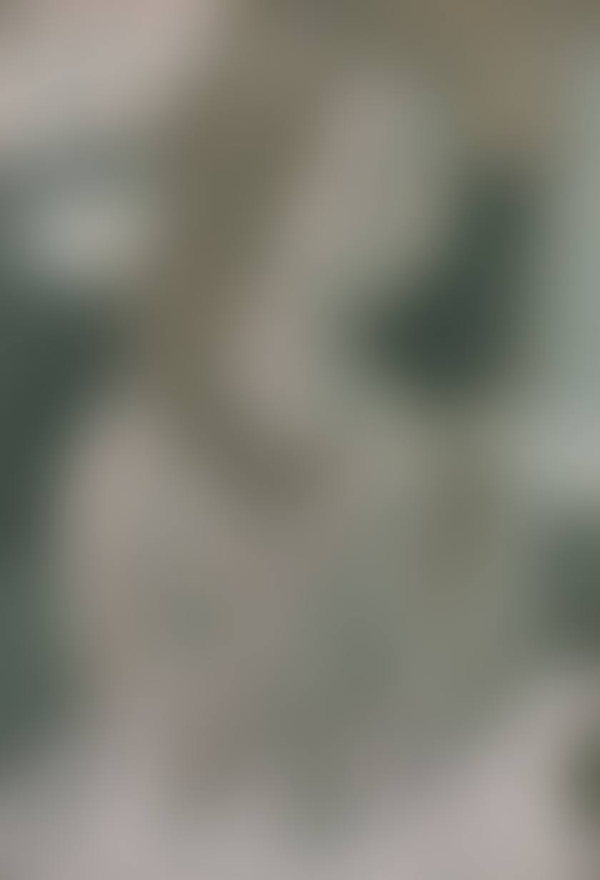 Young girl at her toilet (preview)