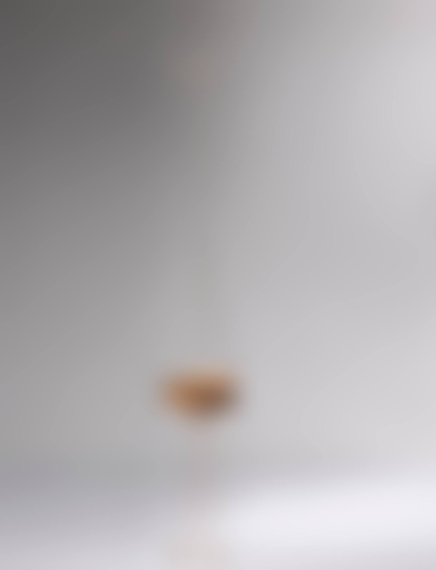 LA CONTESTAZIONE (preview)