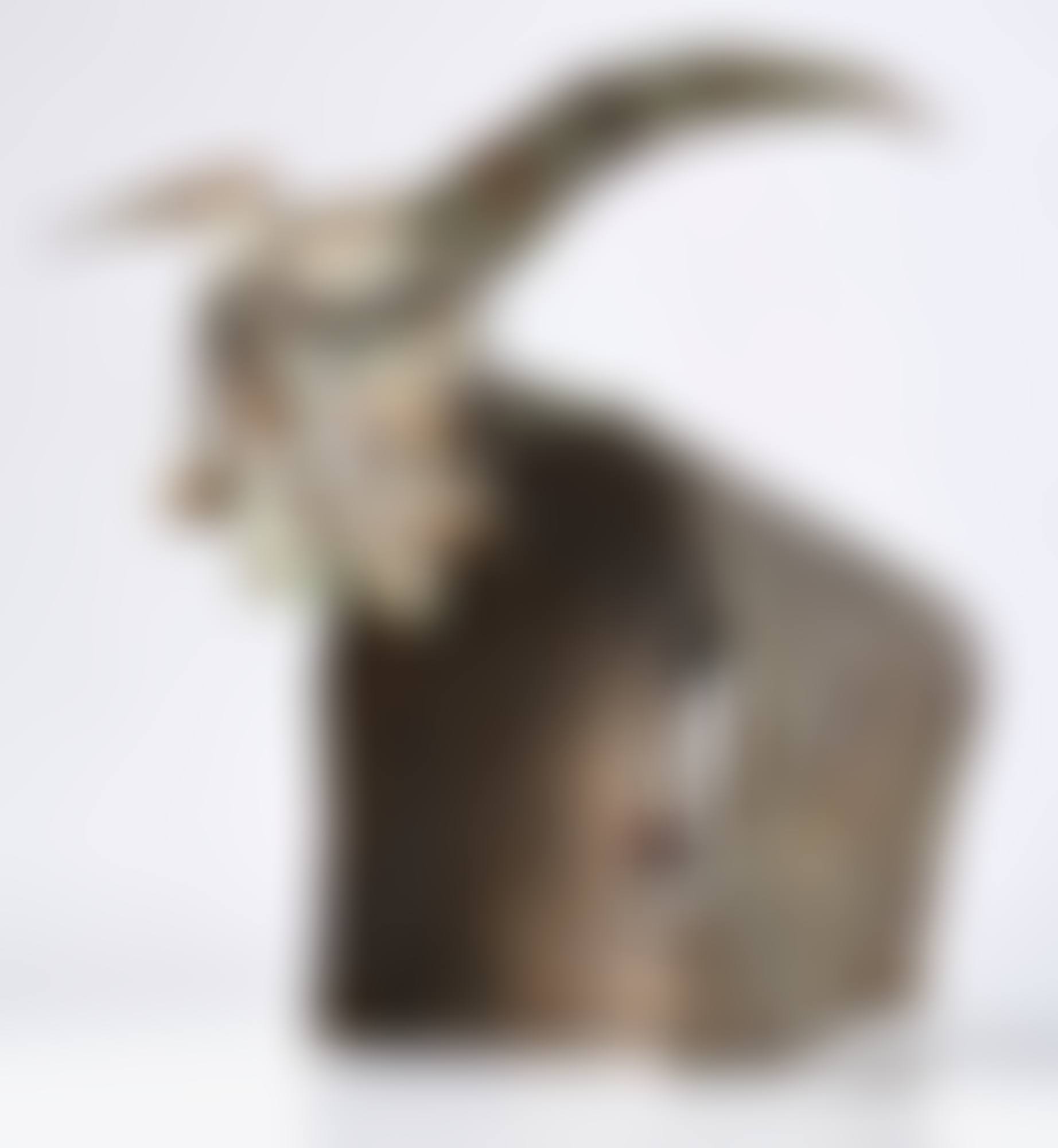 IL TORO (preview)