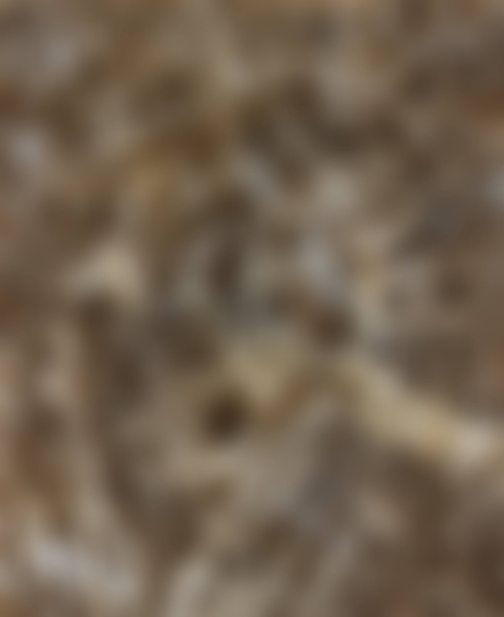 UNTITLED (MIRISMA) (preview)