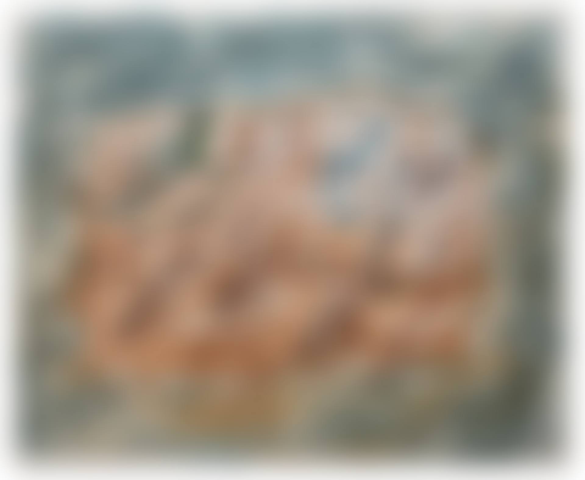 BROUSSAILLES (preview)
