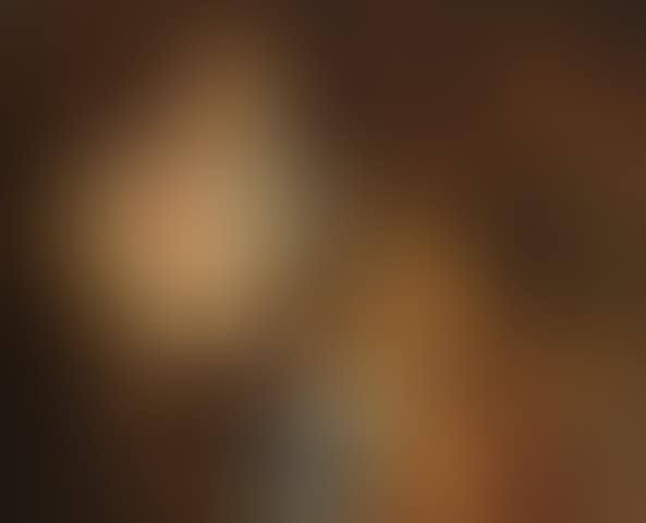 The Adoration of the Magi (preview)