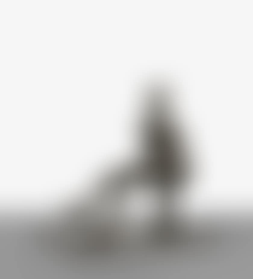 INGRID (preview)