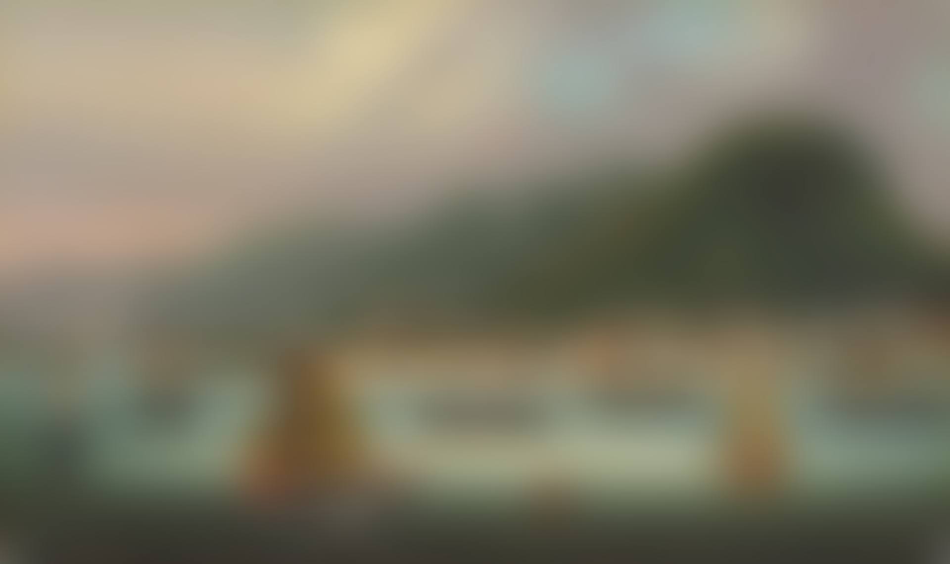 Hong Kong (preview)