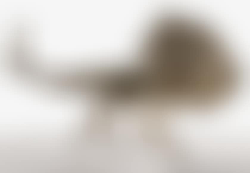 THE HIPPOCAMPE (preview)