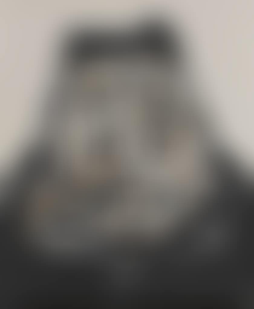 PORTRAIT N ° 1 (preview)