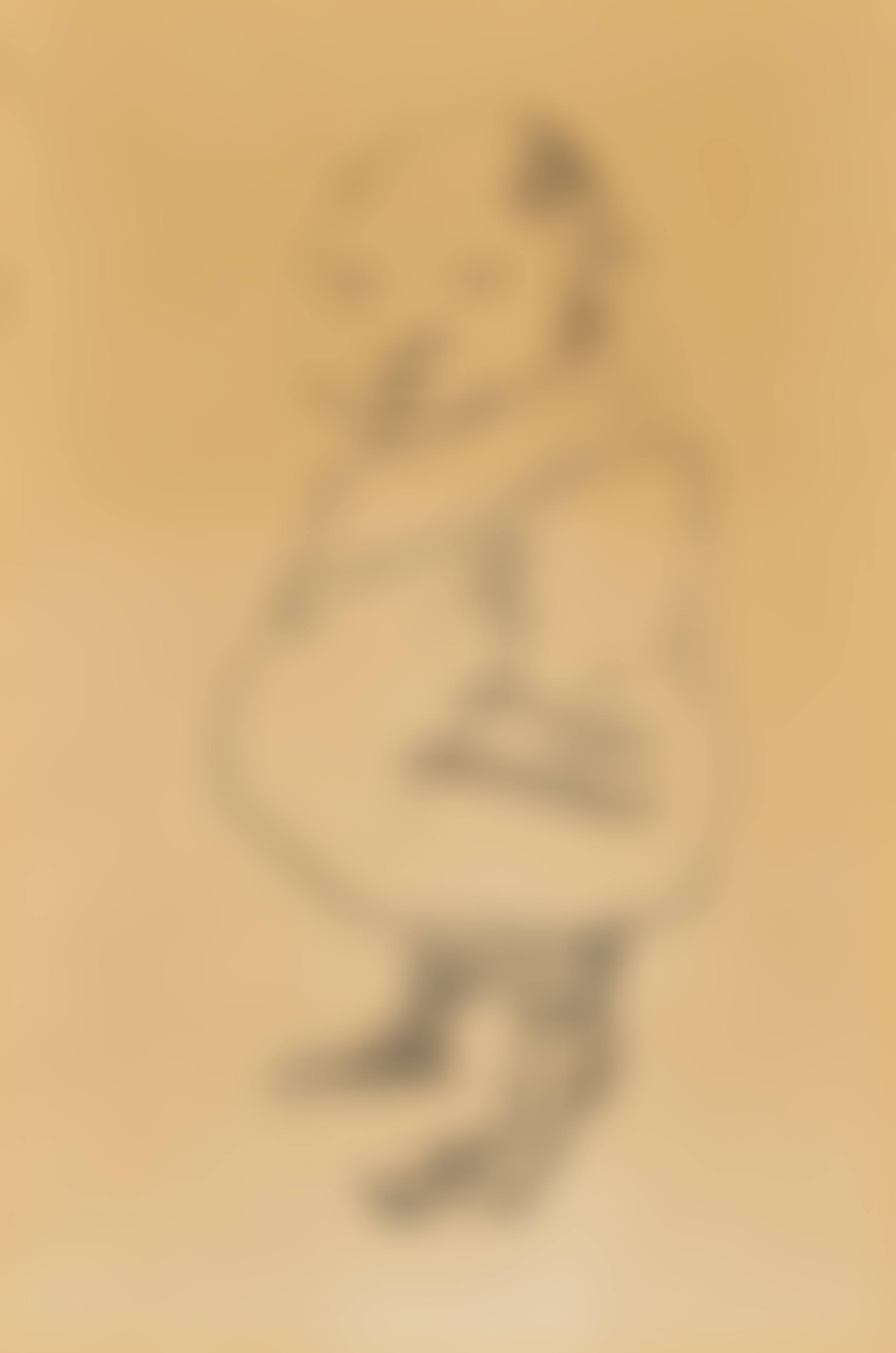Caricature of a fat man (preview)