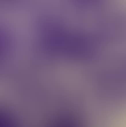 Viola d'Egitto (preview)