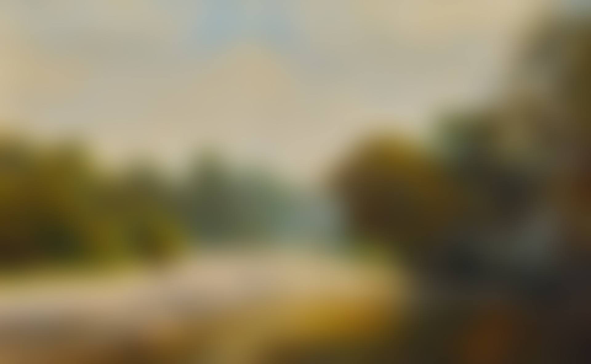 STEPPING STONES, BOLTON ABBEY (preview)