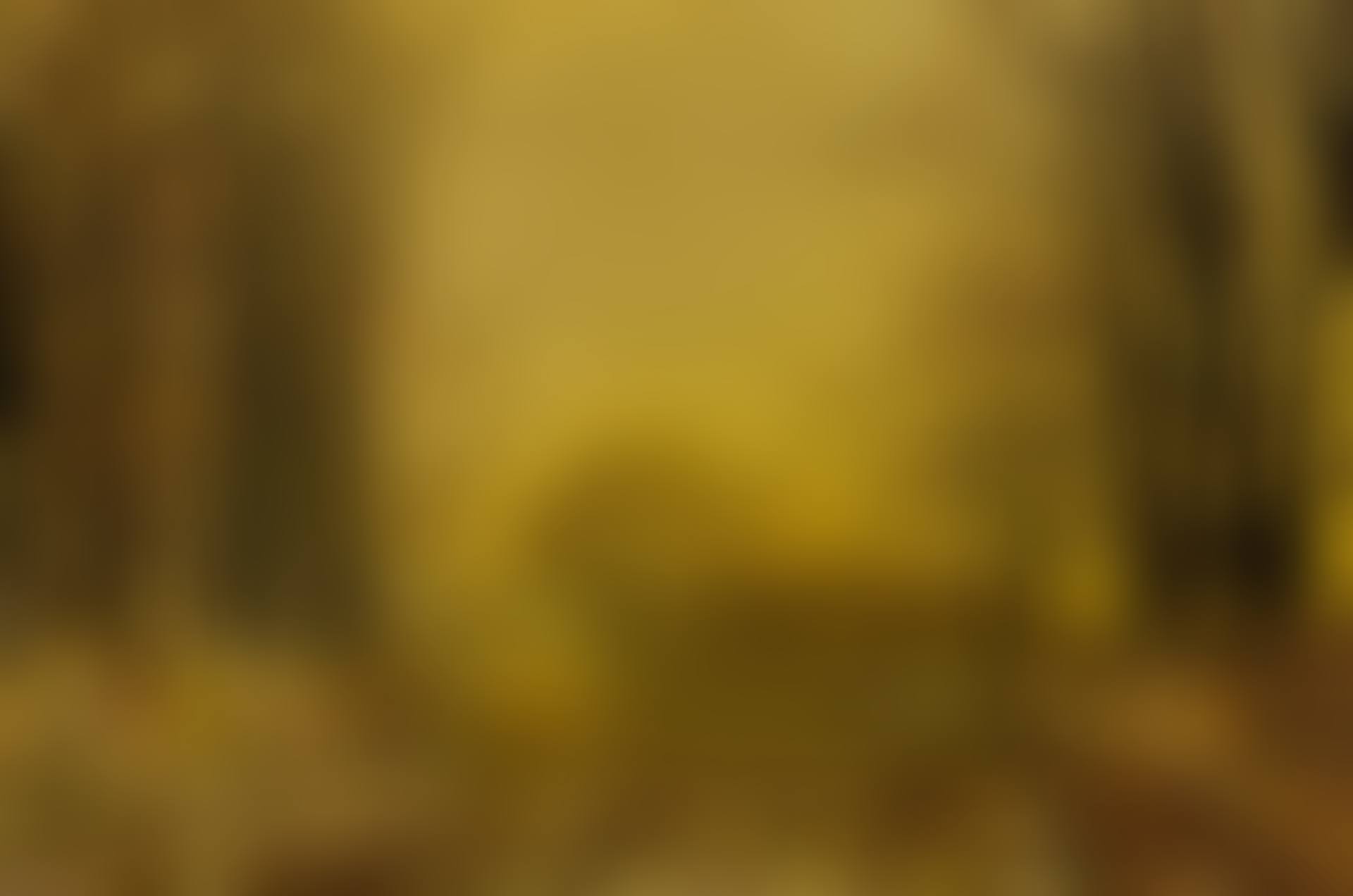 THE QUEEN'S HIGHWAY (preview)
