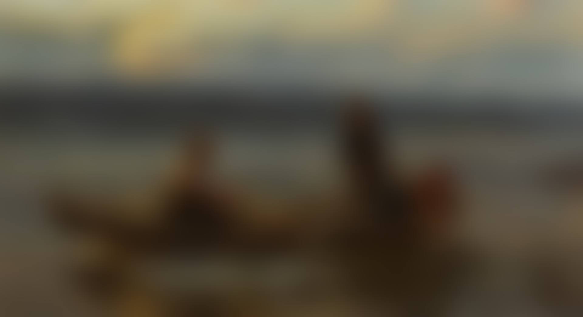 FISHING IN THE FJORDS  (preview)