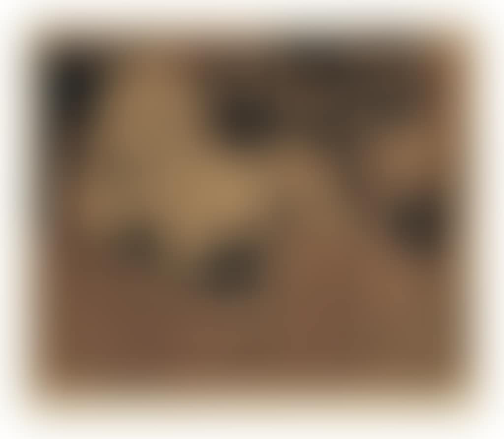 L'AUBADE, AVEC FEMME ENDORMIE (FEMME COUCHÉE ET HOMME À LA GUITARE) (B. 916; BA. 1234) (preview)