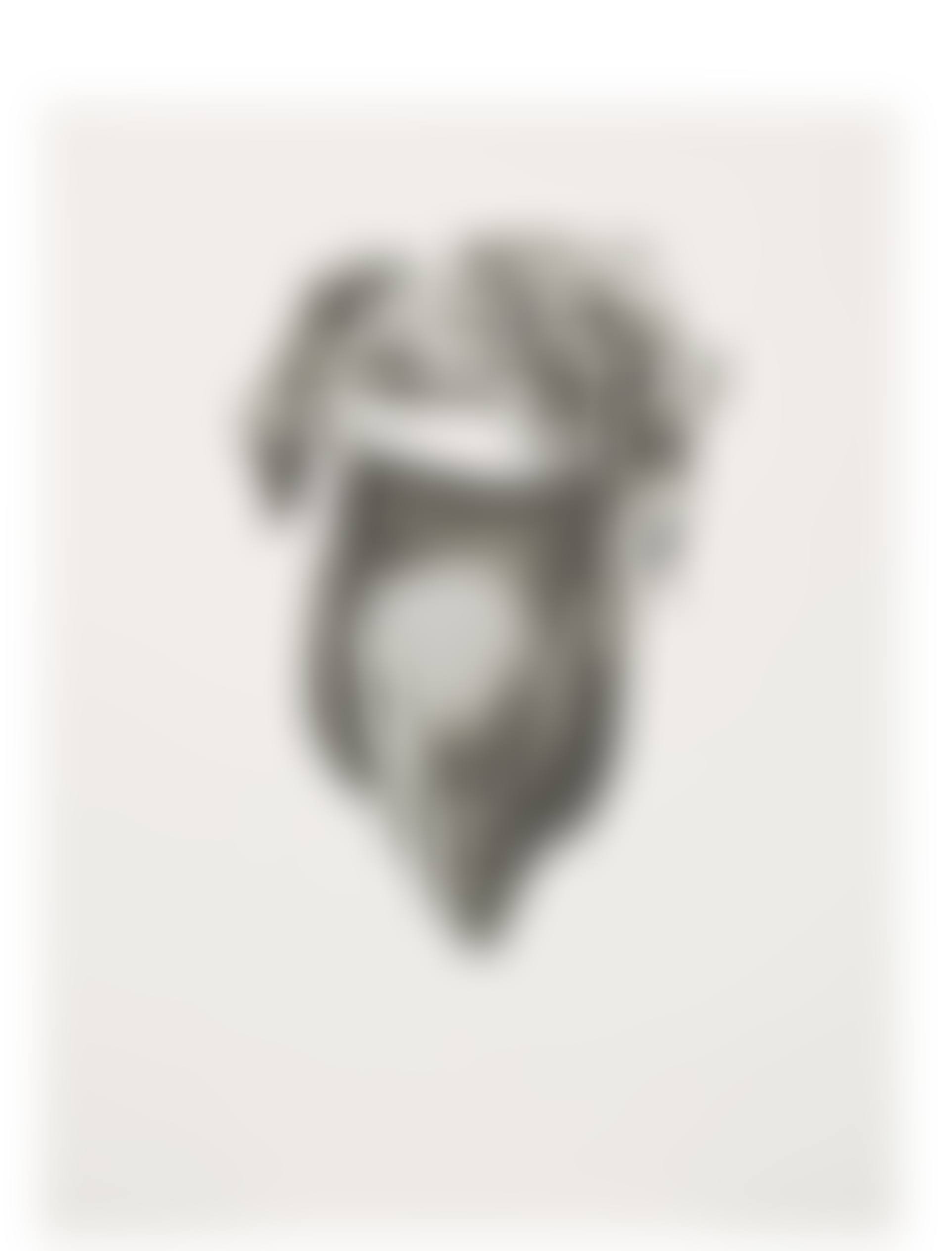 Georgia O'Keeffe Drawings (preview)
