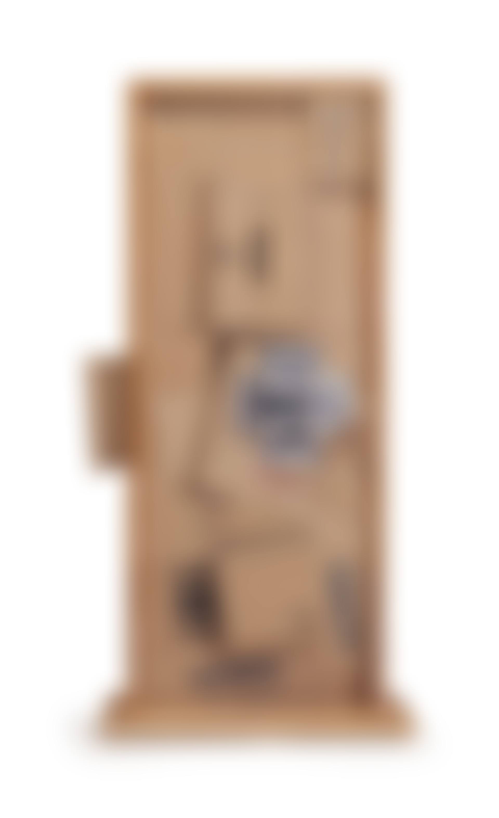 Cardbird Door, from the Cardbird Series (preview)