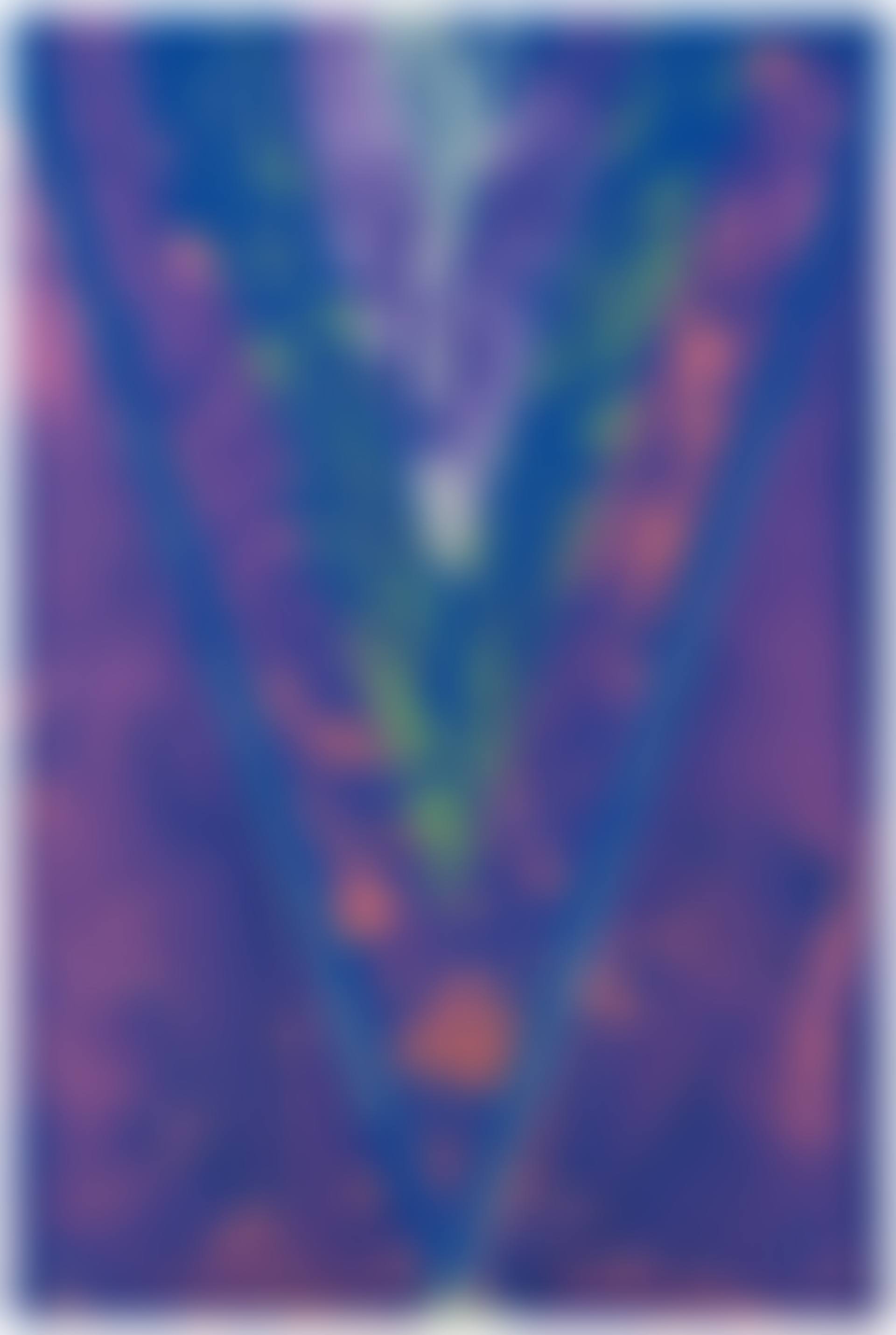 Native Clown (preview)