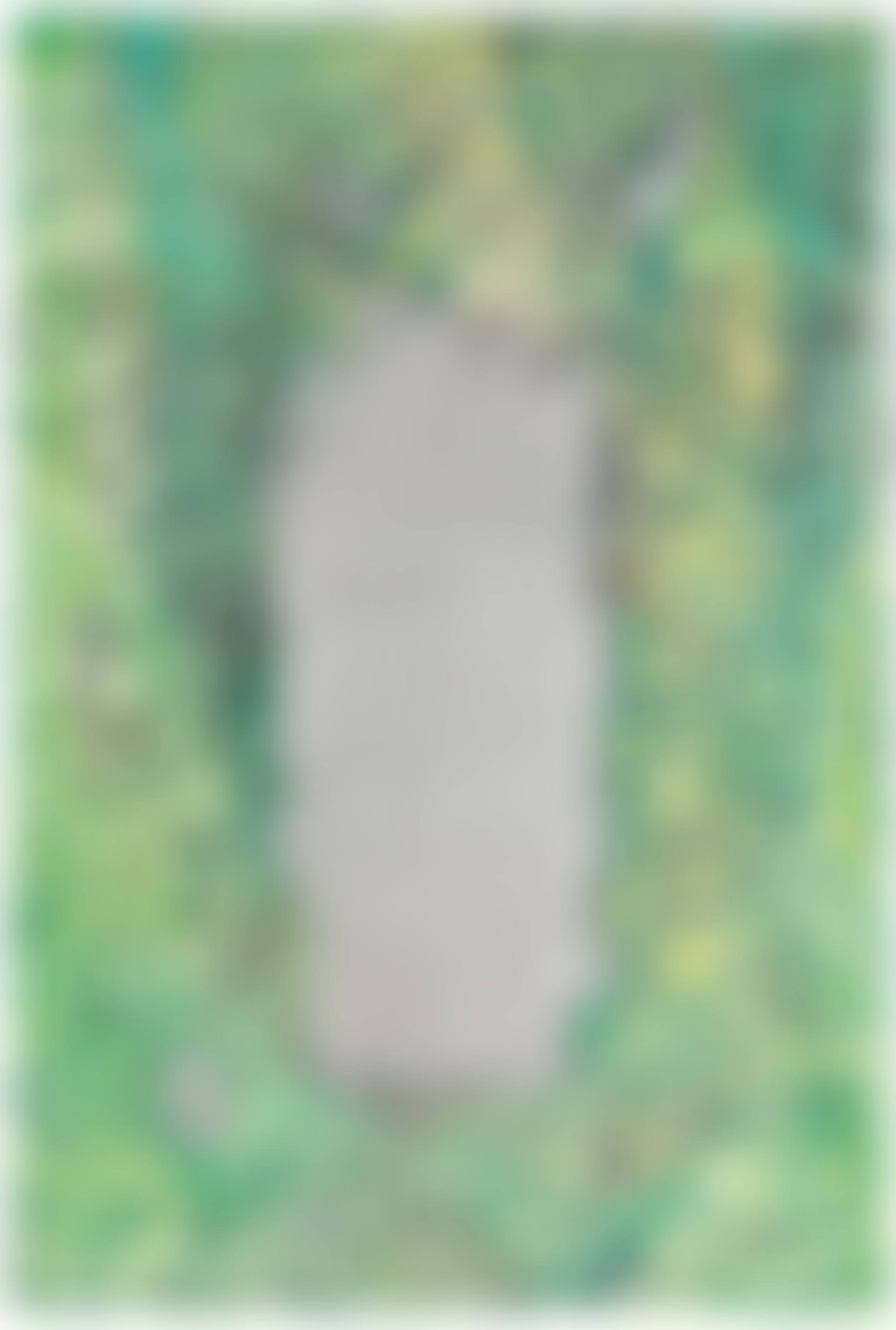 Jungle Haunt (preview)