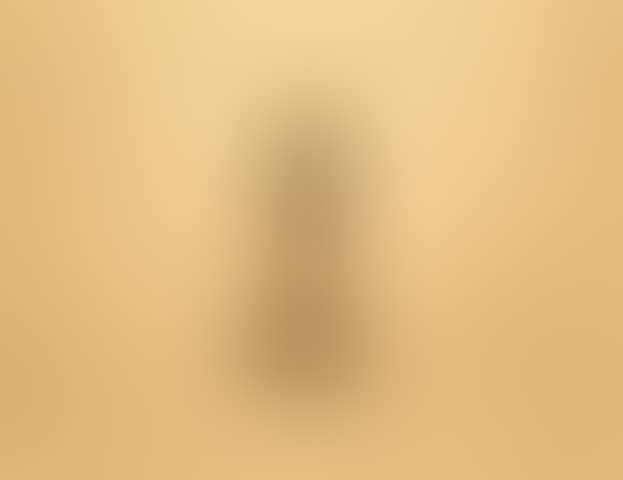 Tinsnip (preview)