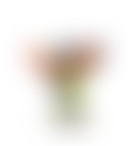 Oiseau amoureux (preview)
