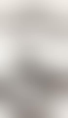 Landscape (preview)