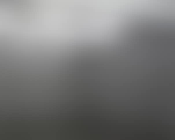 Conceptual Decoration (Wallpaper White On Black) (preview)