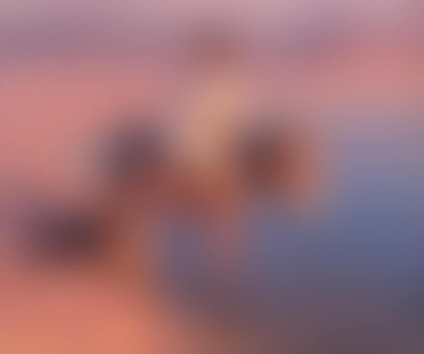 Donkey (preview)