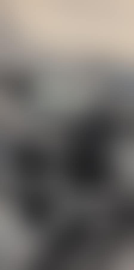 Landscape (preview)