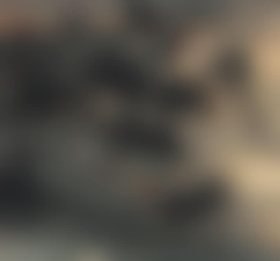 Landscape (preview)