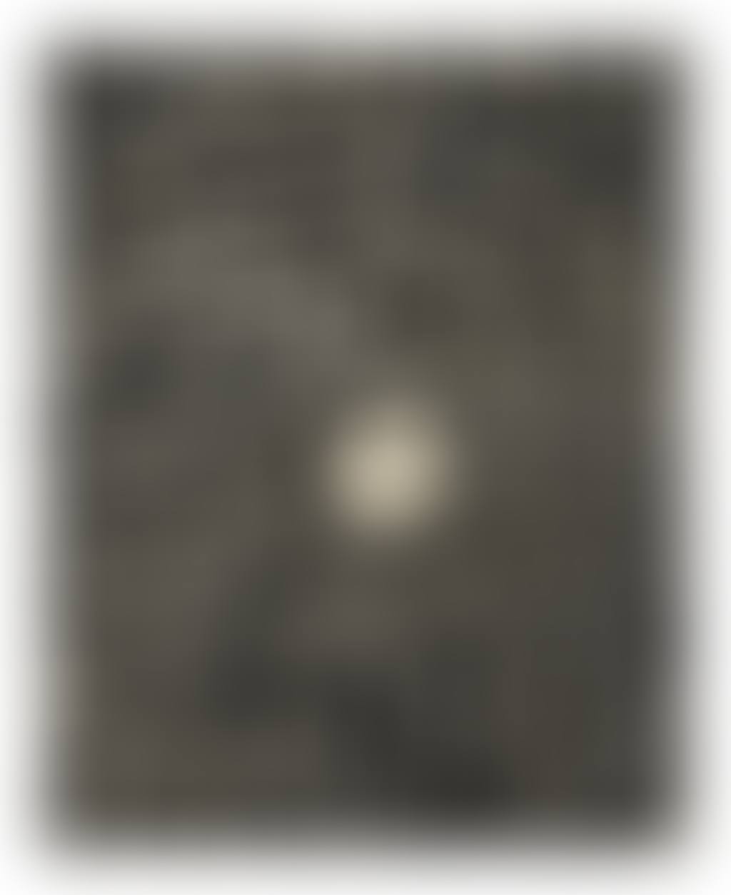 FIGURA ORNAMENTADA (preview)