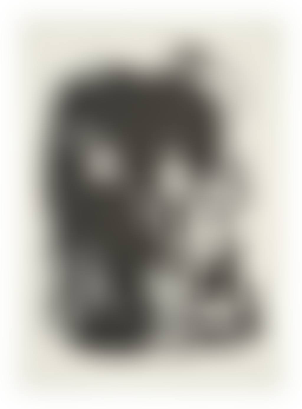 BÖE (NEUJAHRSBLATT) (preview)