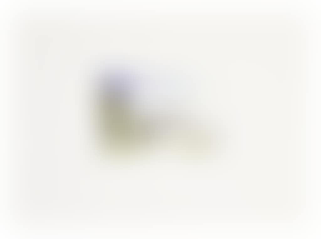 UNTITLED (preview)